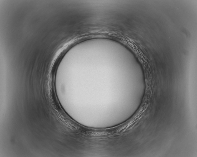 X0000115830342200911131132