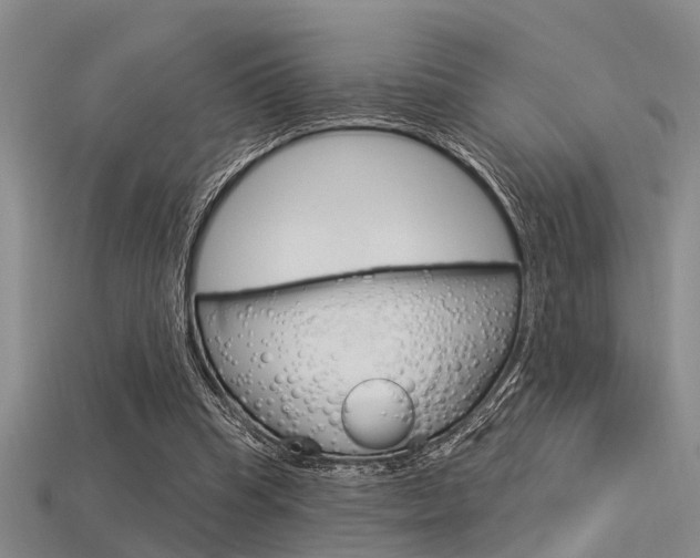 X0000115830345200911131132
