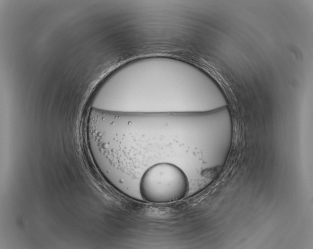 X0000115830346200911131132