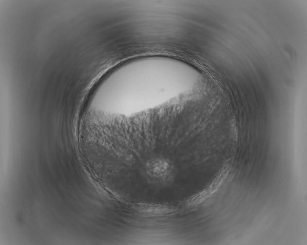 X0000115830347200911131132
