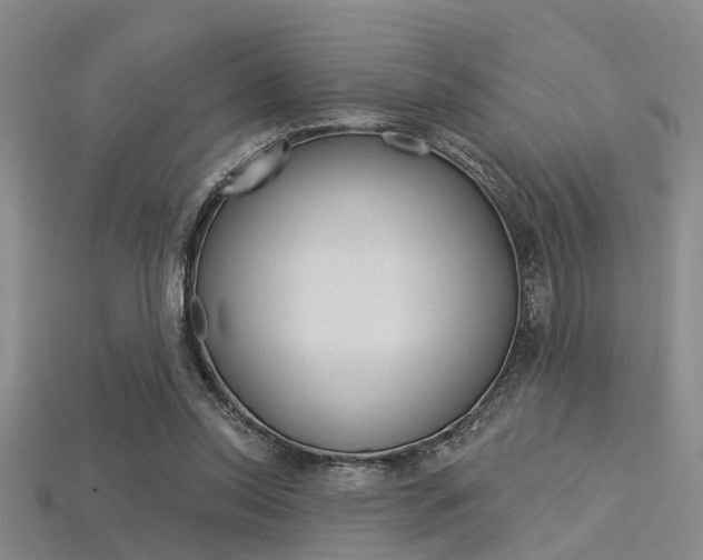 X0000115830350200911131132