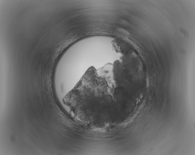 X0000115830353200911131132
