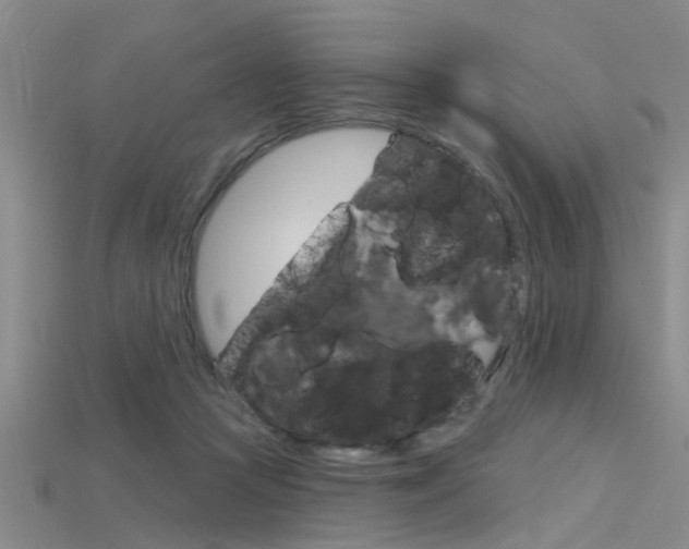X0000115830361200911131132