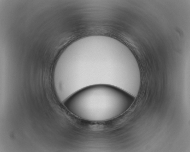 X0000115830362200911131132