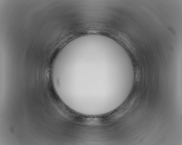 X0000115830363200911131132