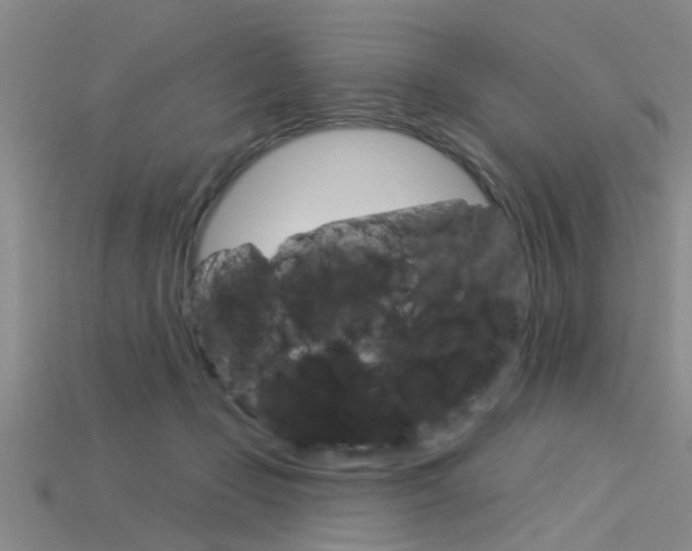 X0000115830365200911131132