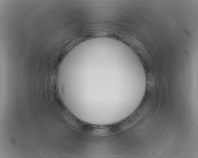 X0000115830369200911131132