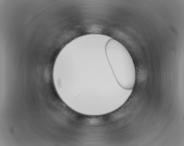 X0000115830370200911131132
