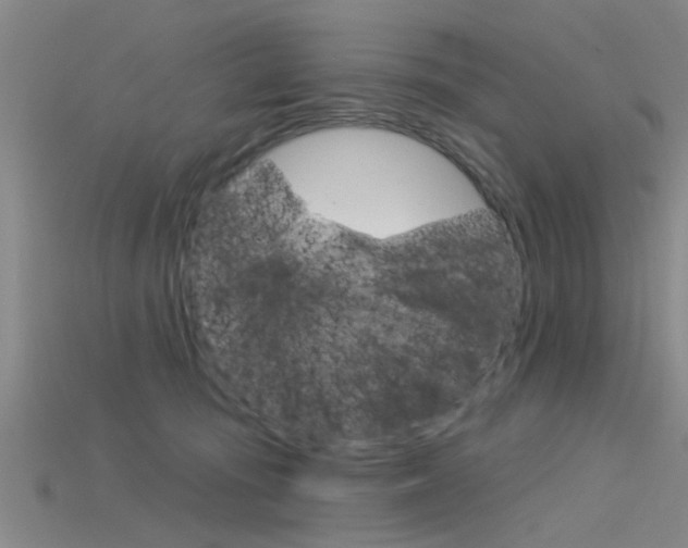 X0000115830371200911131132