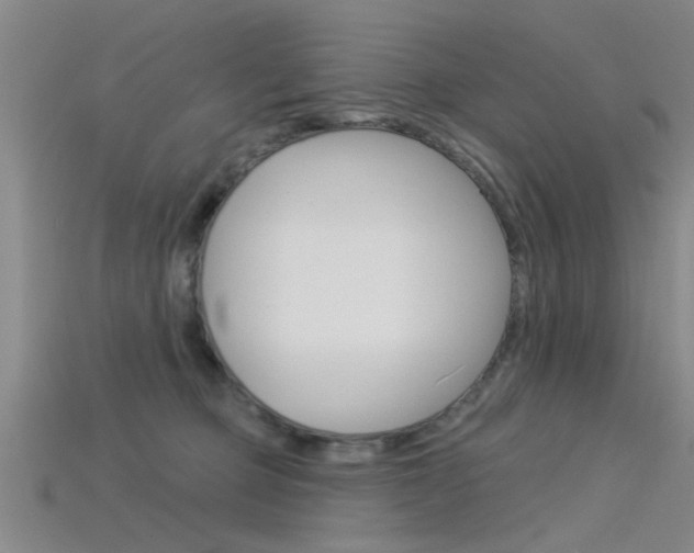 X0000115830373200911131132
