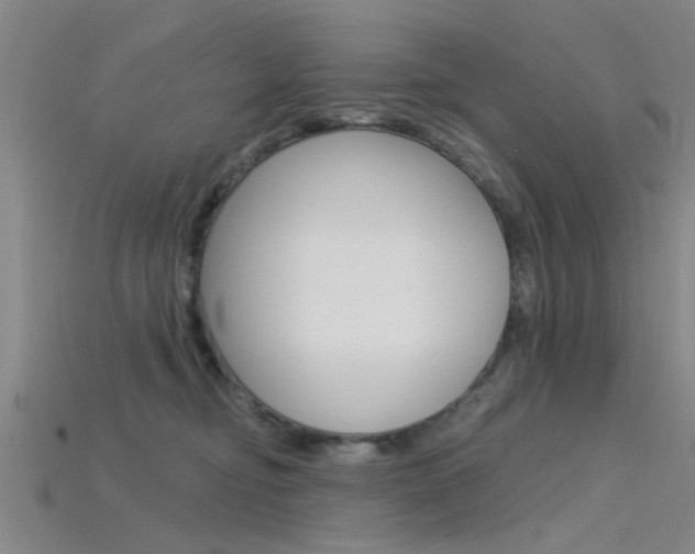 X0000115830374200911131132