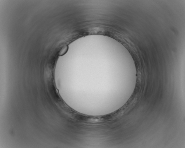 X0000115830375200911131132
