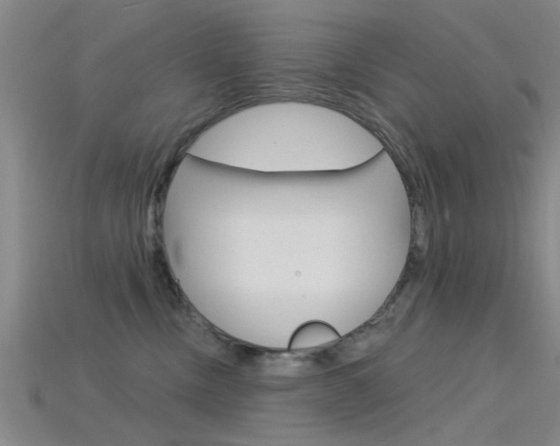X0000115830378200911131132