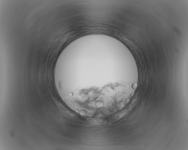 X0000115830379200911131132