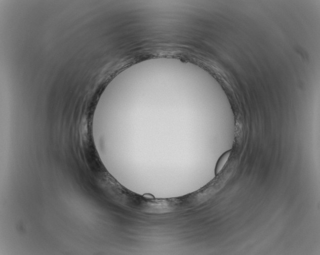 X0000115830381200911131132