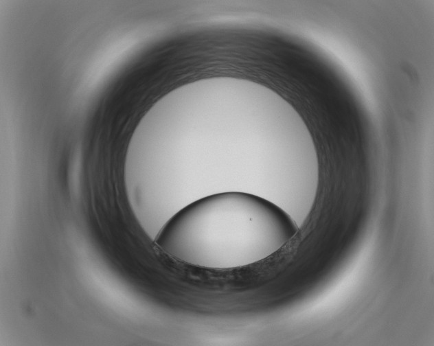 X0000115830382200911131132