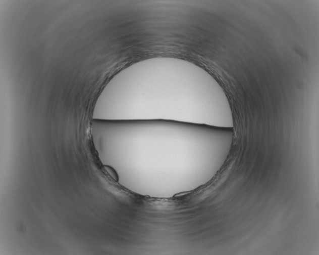 X0000115830383200911131132