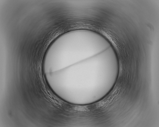 X0000115830386200911131132