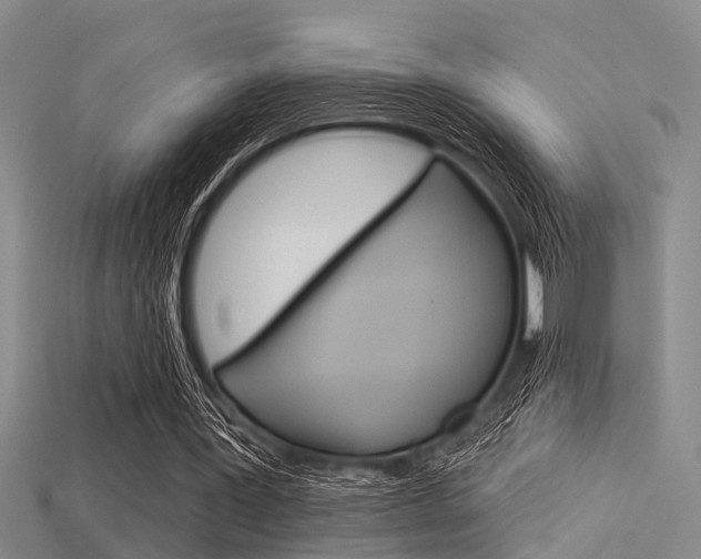 X0000115830387200911131132