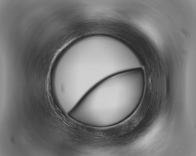 X0000115830388200911131131