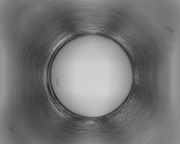 X0000115830390200911131131