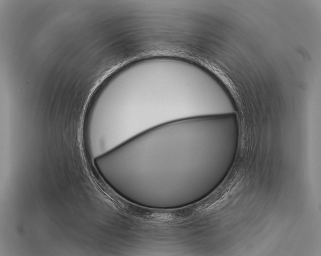X0000115830391200911131131