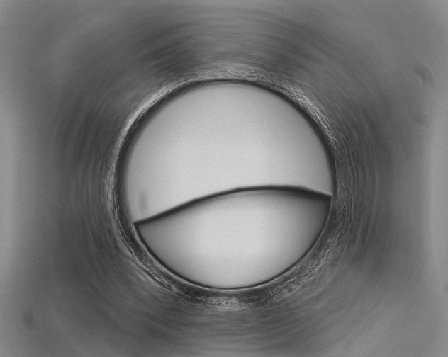 X0000115830392200911131131