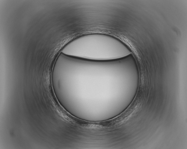 X0000115830393200911131131