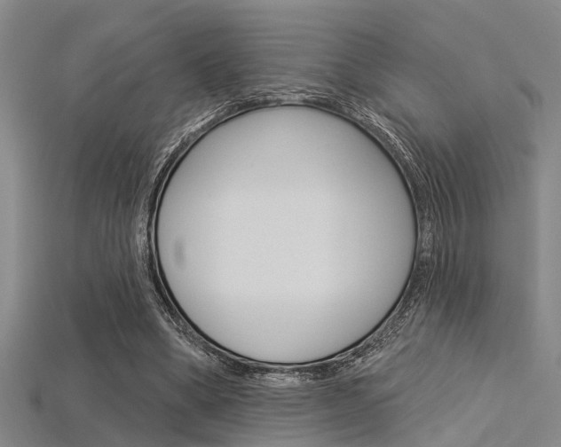 X0000115830394200911131131