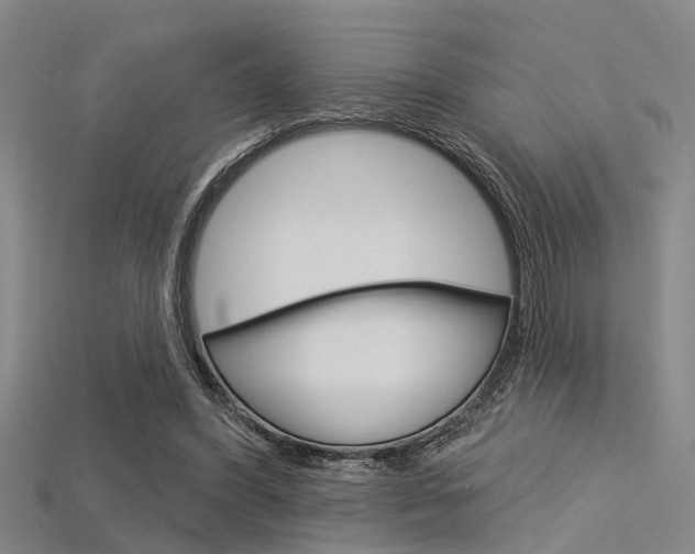 X0000115830396200911131131