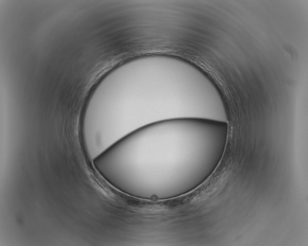 X0000115830397200911131131