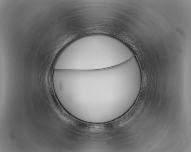 X0000115830398200911131131
