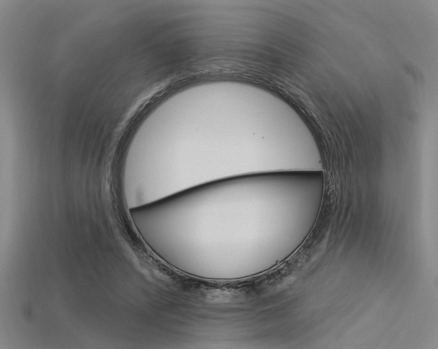 X0000115830400200911131131