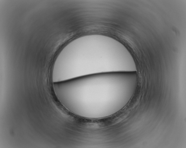 X0000115830404200911131131