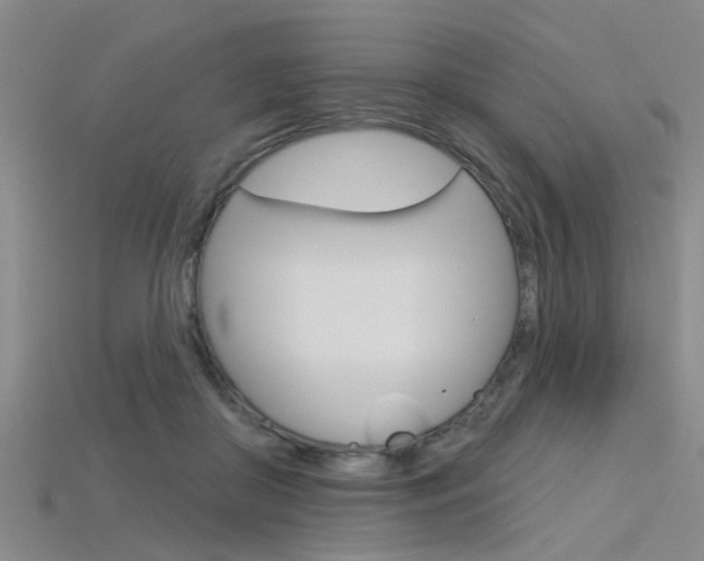 X0000115830410200911131131