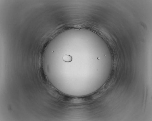X0000115830413200911131131