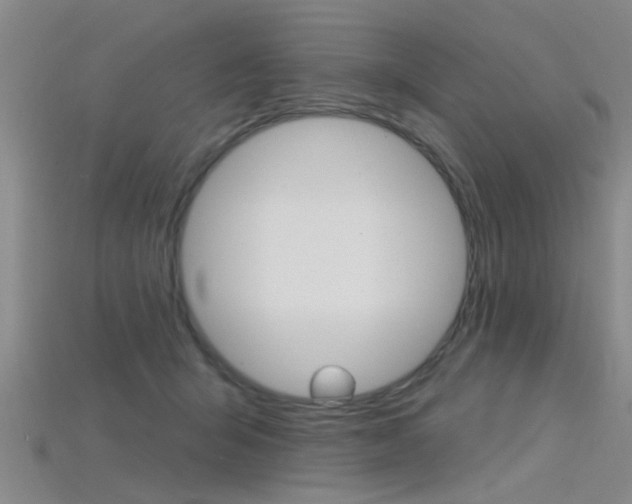 X0000115830415200911131131