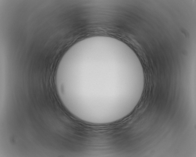 X0000115830419200911131131