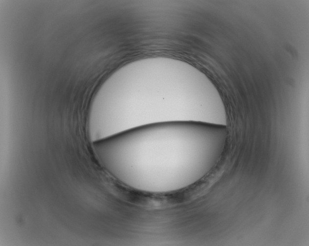 X0000115830420200911131131