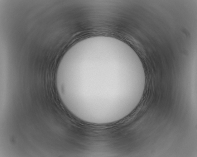 X0000115830421200911131131