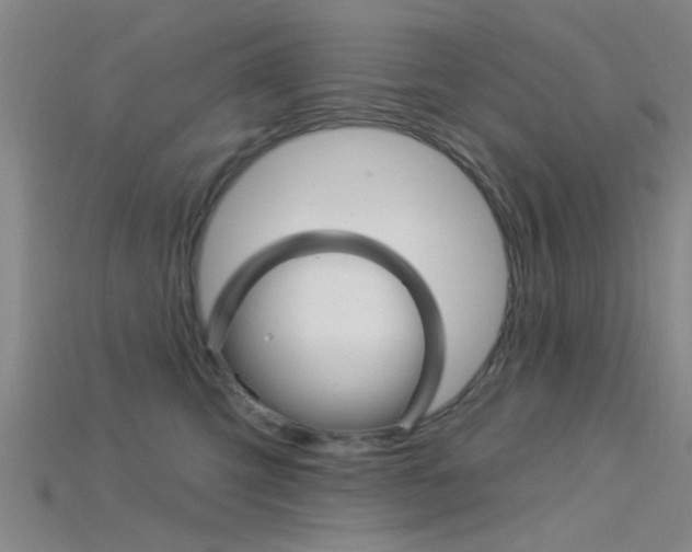 X0000115830423200911131131