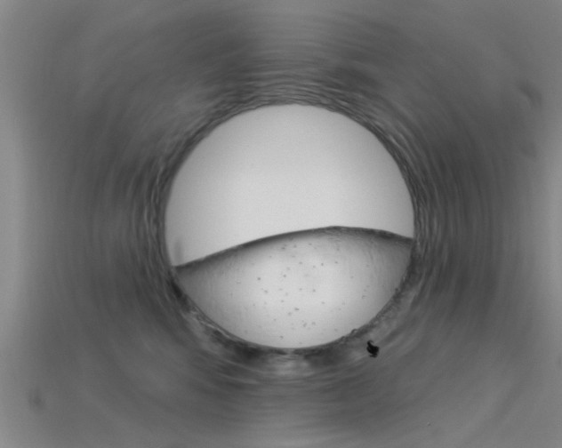 X0000115830424200911131131