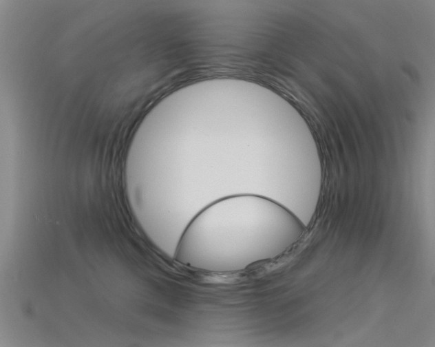 X0000115830425200911131131