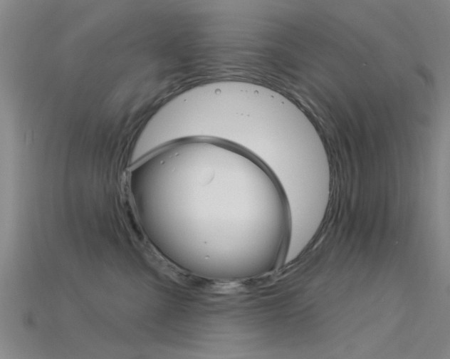 X0000115830427200911131131