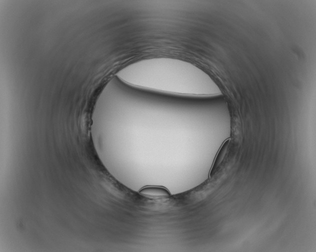 X0000115830428200911131131
