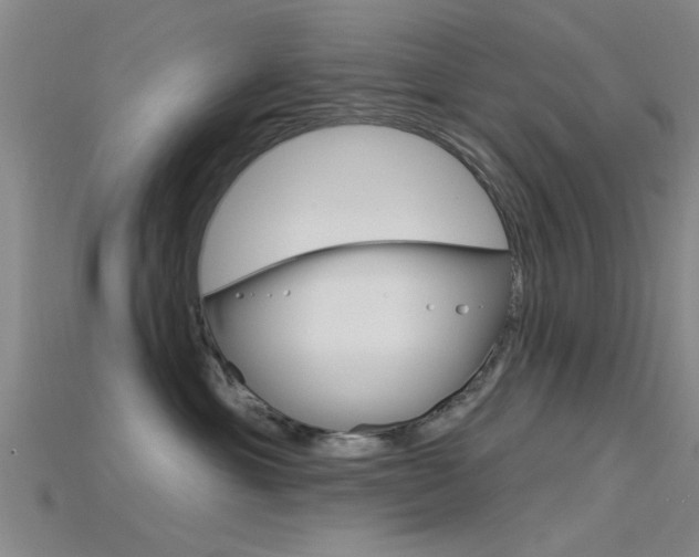 X0000115830429200911131131