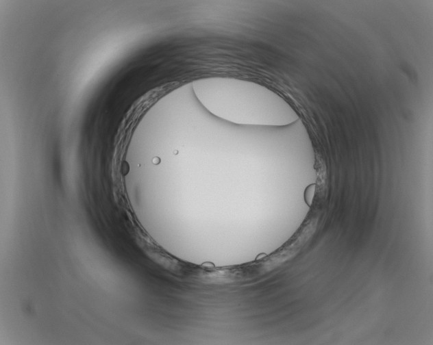 X0000115830430200911131131