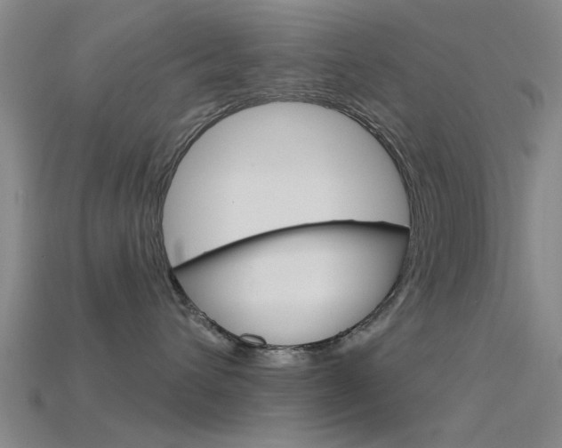 X0000115830432200911131131