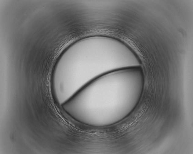 X0000115830434200911131130