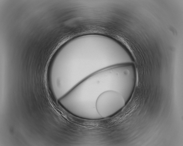 X0000115830435200911131130